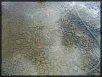DSCN5869.jpg