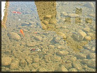 DSCN6103.jpg
