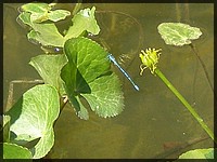P5010011.JPG