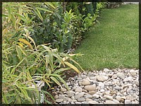 P6150005.JPG