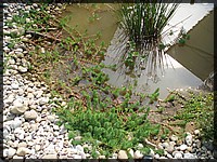 P7300016.JPG