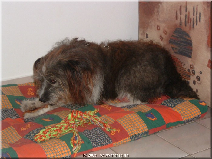 DSCN6840.jpg
