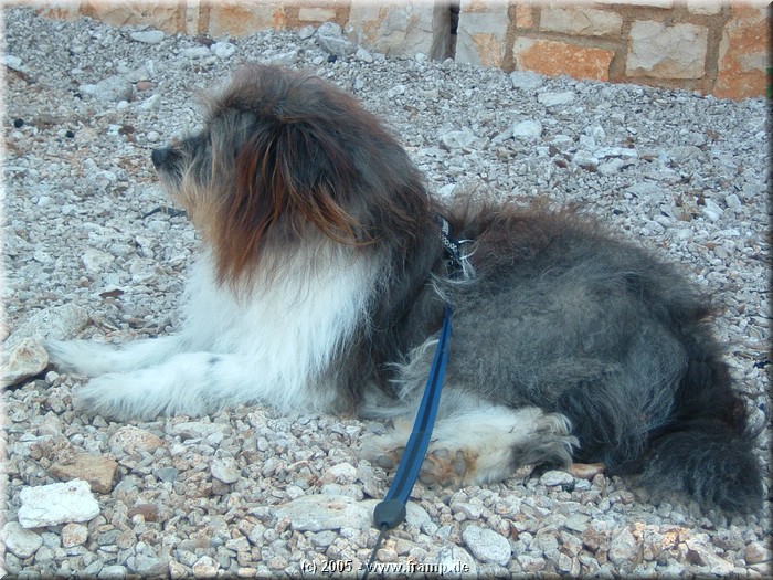 DSCN6975.jpg