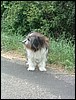 DSCN4673.jpg
