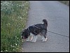 DSCN5037.jpg