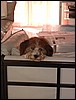 DSCN5754.jpg