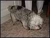 Picture 062.jpg