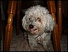 Picture 065.jpg