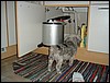 Picture 111.jpg